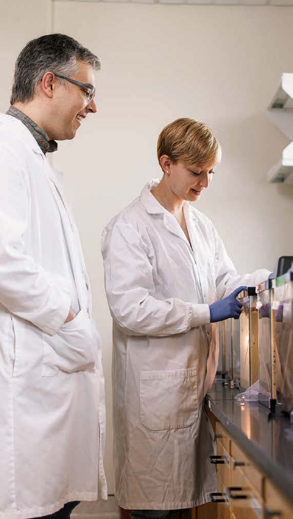 Members of Tim Anderson's Lab