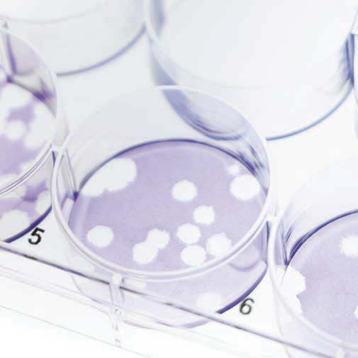 Cover dish