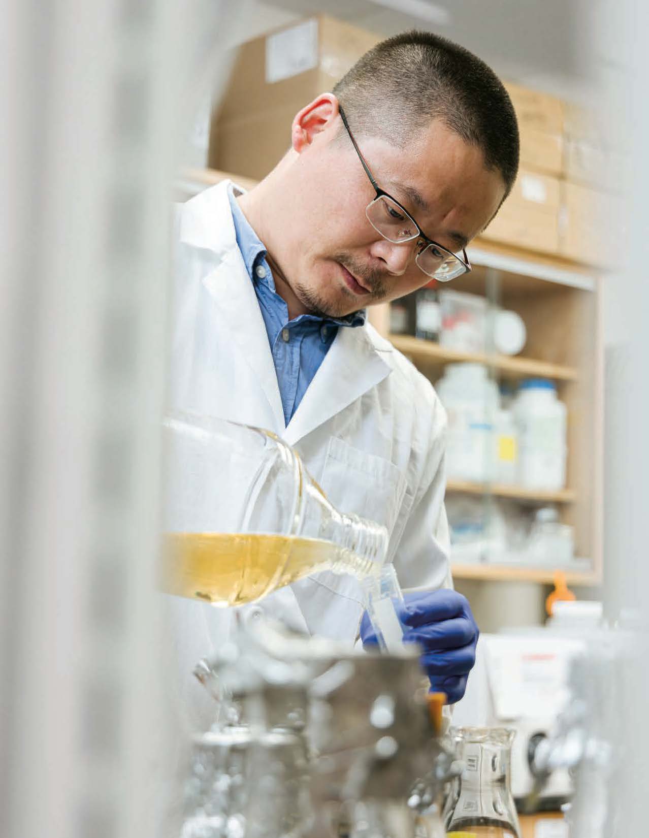 Chengjin Ye working in the lab