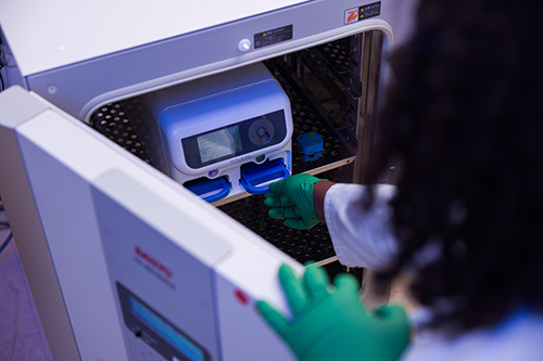 Researchers will be able to grow miniature, 3D organs-on-a-chip using the Emulate Orb and Zoë Culture Module system.