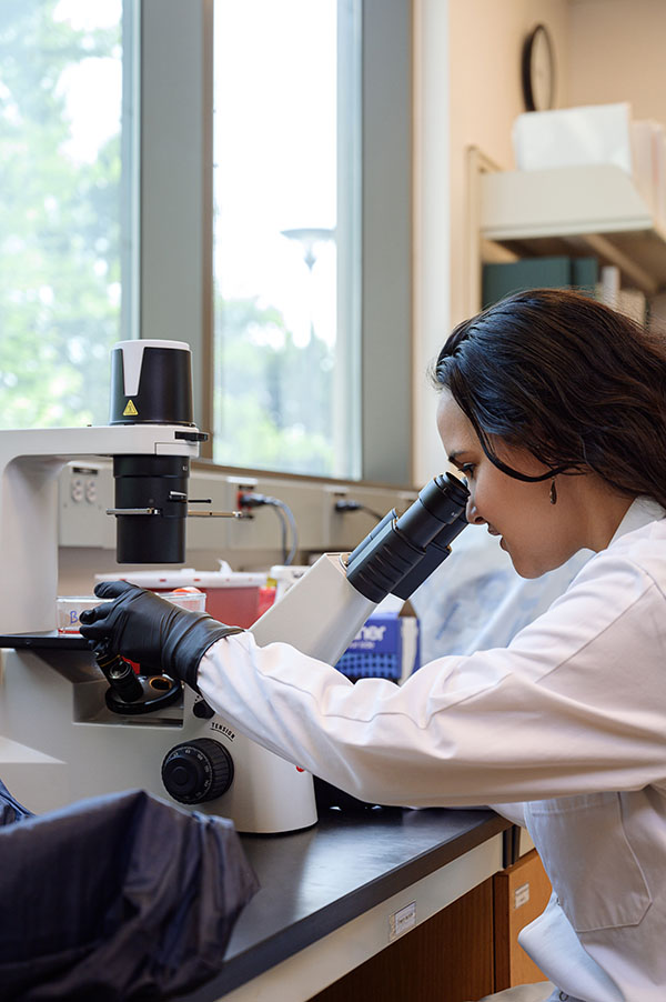 Angelica Olmo-Fontanez in the lab