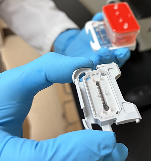 Close up of the organ chip